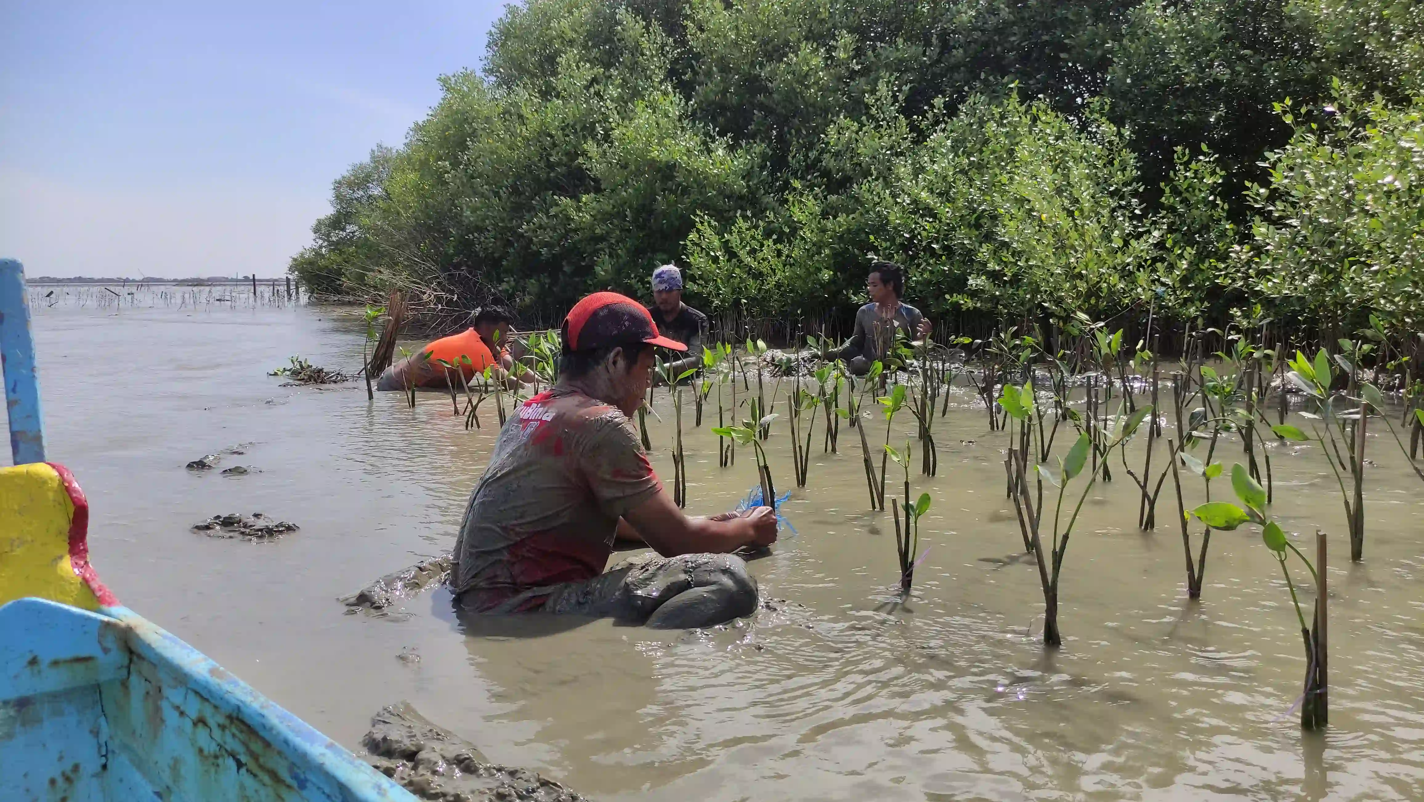 Sedekah Pohon LindungiHutan